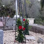 Apartment Nadine Mljet Komfort Mit Meerblick