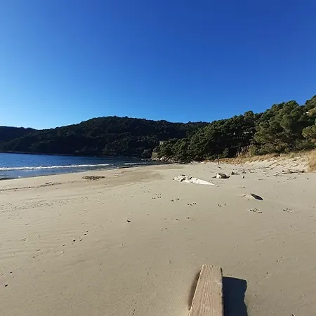 アパート Nadine Mljet Mit Meerblick *