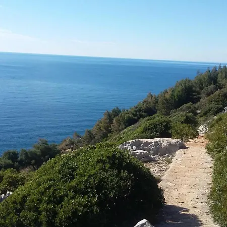 Nadine Mljet Mit Meerblick *