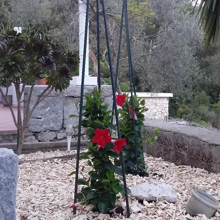 Apartament Nadine Mljet Mit Meerblick