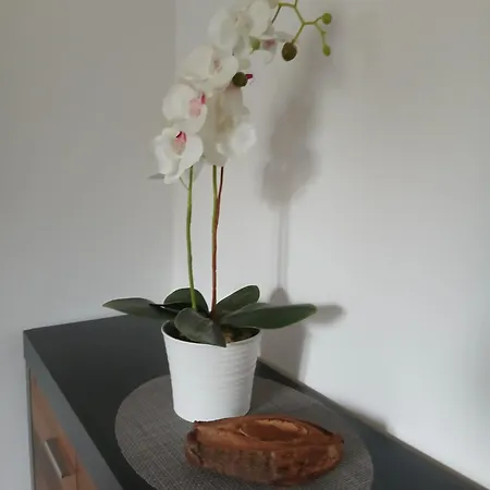 Nadine Mljet Mit Meerblick Apartament Okuklje