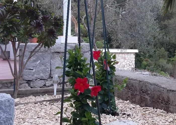 Appartement Nadine Mljet Mit Meerblick